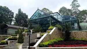 Filipino Client Visits Our Sunroom Project and Falls in Love Immediately